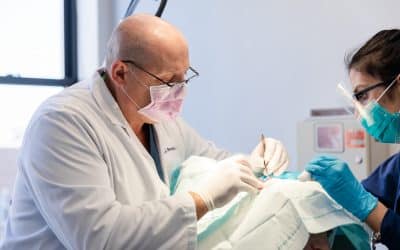 Skin Cancer Screening, Treatment & Mohs Surgery
